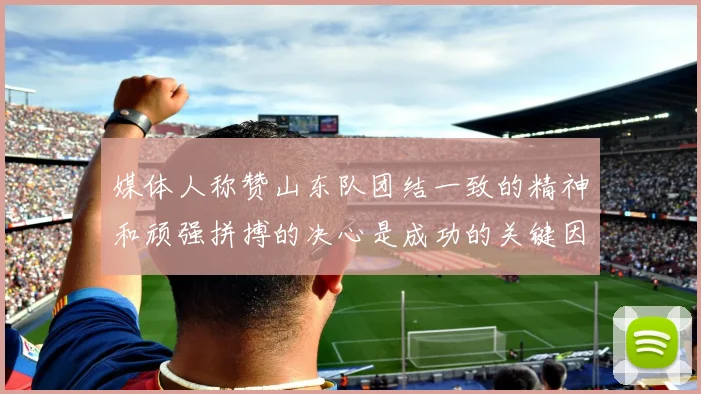 媒体人称赞山东队团结一致的精神和顽强拼搏的决心是成功的关键因素