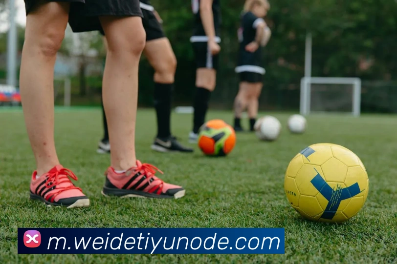 App Interface Preview