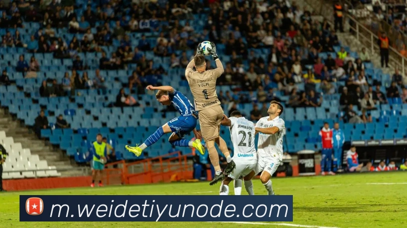 伟德体育APP 封面图